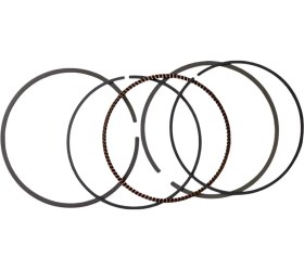 Resim Honda Forza 250 Segman Std 2021-2024 -- 