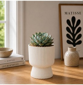Resim Omnipazar So-ltsa01 Lotus Ayaklı Plastik Vazo Çiçek Saksı 1.8 Litre No: 1 Beyaz 