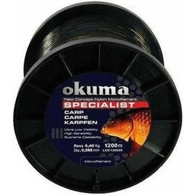 Resim Okuma Carp 1200m 22,00 Lb 10,0kg 0,37mm Camou Misina 