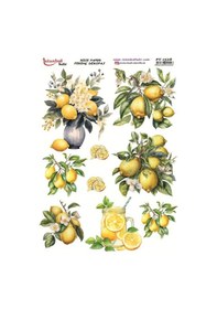 Resim Pirinç Dekopaj Kağıdı 30x42cm Pt-1528 