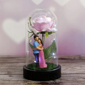 Resim herkesetoptantic Gül Altında Çifte Kumrular Tasarımlı Işıklı Fanus (Pembe) 