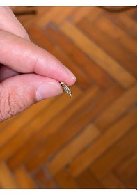 Resim 316 Cerrahi Çelik Tragus Helix Kıkırdak Conch Minimal Melek Kanadı Piercing Gold 