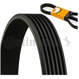 Resim 25 Contıtech 6pk1755 - Alternatör Kayışı 6 Kanal Golf Iı Gti Car 