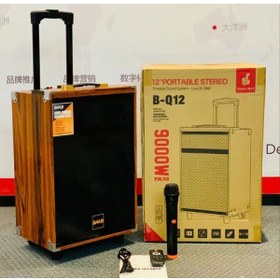 Resim Ultratekno B-Q12 50 Watt Süper Bass Kumandalı Taşınabilir Kablosuz Mikrofonlu Bluetooth Hoparlör Karaoke Sistemi 