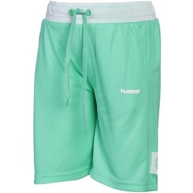 Resim hummel Hmlbriton Shorts 