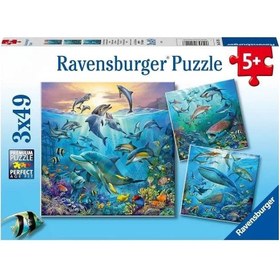 Resim Ravensburger 3x49 Parça Puzzle Okyanus Hayvanları 51496 
