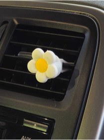 Resim dizaynpark Beyaz Papatya Klima Kokusu 