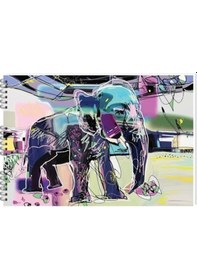 Resim Keskin Color Resim Defteri Spiralli 35x50 Karışık Desen 