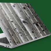 Resim Huş Ağaçları Notebook Sticker, Laptop sticker,, Hp Sticker, Asus Sticker, 15.6 inç Sticker 