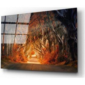 Resim Miyrem Glasses Collection -a1^ Orman Cam Tablo 