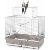 Resim Imac Wilma Kuş Kafesi 