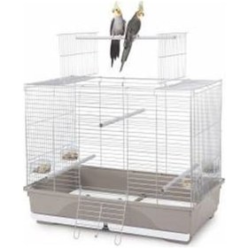 Resim Imac Wilma Kuş Kafesi 