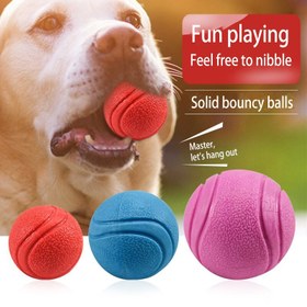 Resim Dayanıklı Kauçuk Köpek Oyuncağı - Dış Mekan Oyunları ve Eğitim İçin Zıplayan ve Çiğnemeye Dayanıklı Top, Geri Getirme ve Çiğneme Eğlencesi İçin 