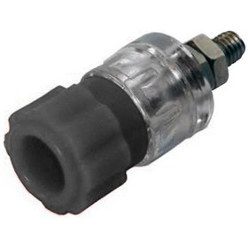 Resim Ic-240c Orta Boy Şeffaf Siyah Born Klemens 