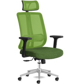 Resim Calitteoyuncukoltuk Calitte Yönetici Çalışma Koltuğu | Spark Başlıklı | Yeşil Krom 
