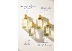 Resim Brooks Brothers Bowery EDP Kadın Parfüm 100 ML | Çiçeksi - Misk | İncir, Beyaz Çiçekler, Leylak, Amber, Misk, Sandal Ağacı 