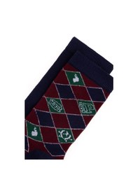 Resim U.S. Polo Assn. Erkek Çocuk 2'li Soket Çorap 50299270-VR014 