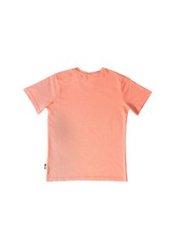 Resim No Fear Somon Önü Baskılı Bisiklet Yaka Kısa Kol Erkek Çocuk Penye T-shirt Somon 