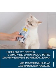 Resim Yüksek Proteinli Puding - Lezzetli Atıştırmalık, 100 G 