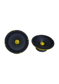 Resim Bm Audio Xw-16 700w 16cm Profesyonel Midrange 