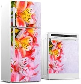 Resim Buzdolabı Ve Bulaşık Makinesi Takım Sticker 0379 