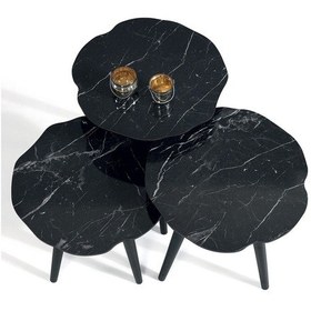 Resim 3'Lü Yaprak Ahşap Zigon Sehpa Siyah Mermer B4 