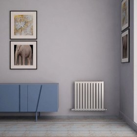 Resim Carisa Sarp Yatay Paslanmaz Çelik Radyatör Modern Tasarım Satine 60X59 cm 
