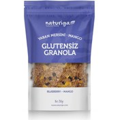 Resim NATURİGA Glutensiz Yaban Mersini & Mango Granola 250g 