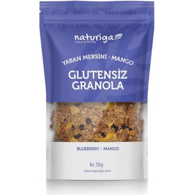 Resim NATURİGA Glutensiz Yaban Mersini & Mango Granola 250g 