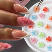 Resim Bagged Mixed Color Resin Nail Design Ornaments, Beş Yapraklı Çiçek Üç Boyutlu Yükseliş Çiçeği, Gradyan Soluk Renkli Kiraz Çiçeği ile, Kokusuz, Kırmızı, Pembe, Yeşil, Mavi 