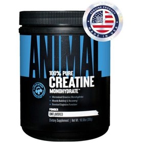 Resim Universal Animal Creatine Monohydrate 300 G 