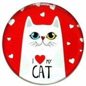 Resim Myros Kedi Magnet 