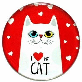 Resim Myros Kedi Magnet 
