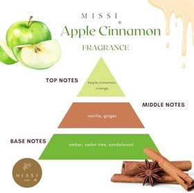 Resim 100 ml Çamağacı Seramik Taşlı Apple Cınnamon Oda Kokusu 