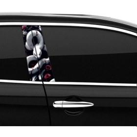 Resim Araba Etiketleri, Tuning Kaplama, Direk Folyosu - Yılan, Beyaz Güllü Yılan Renkli 