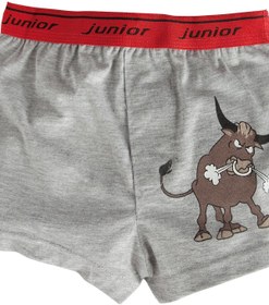 Resim Miorre Erkek Çocuk Boxer 