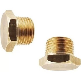 Resim 1/8 Sarı Körtapa 