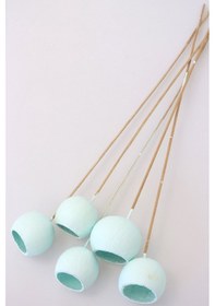 Resim Dekoratif Bell Cup 5li Tropic Kabak Uçuk Mavi 