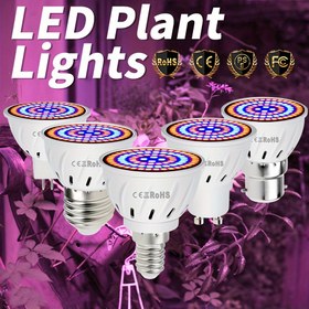 Resim Full Spectrum LED Bitki Büyüme Işıkları, 220V E27 Thread, Profesyonel Kapalı UV/IR Yeşil Bitki Yetiştirme Aracı, E14 Serası, B22 Sukulent, GU10 Sebze, Çiçek, Tohum, MR16 Kırmızı/Mavi Işık Yetiştirme, 48/60/80 LED'ler, PC Malzeme, Kablolu, Pil Yok, Mükemmel Noel Hediyeleri, Tatil Ofisi, Yatak Odası, Otel, Parti, Restoran Dekorasyonu için 