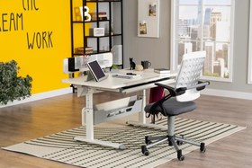 Resim Vega Advanced Çalışma Masası Takımı - Ekru / Gri 