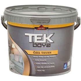 Resim Tek Plastik Özel Tavan Boyası 10 Kg Beyaz 10 KG 