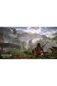 Resim Bandai Namco Horizon Zero Dawn Ps4 Oyun 