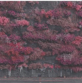 Resim Sleep Token - Even In Arcadia Limited Trifold Edition - Metallic Gold Vinyl 2 X Plak 