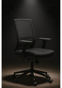 Resim Ergonomik File Sırt Destekli Çalışma Ve Ofis Koltuğu Ayarlanabilir, Bel Destekli, Döner Tekerlekli Ofizdesign0102 Siyah 