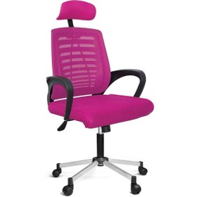 Resim Türksit Karizma File Müdür Koltuğu Metalik Gri Boyalı Ayak Pembe 