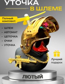 Resim Damedo Shop Aracın İçinde Kasklı Ve Gözlükleri Olan Ördek 274614528 