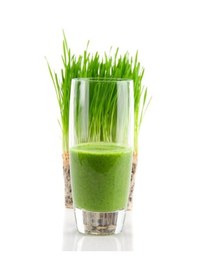Resim Doğal Buğday Çimi Için Anadolu Buğday Tohumu 2 Kg Yerli Tohum 
