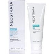 Resim NeoStrata Facial Cleanser Yüz Temizleme Jeli 200 ml 