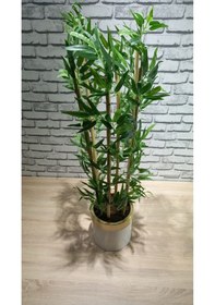 Resim 120 Cm Darbuka Saksıda Bambu 6 Dal Yeşil 