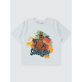 Resim Scooby Doo Erkek Çocuk Tişört 10-13 Yaş Beyaz 